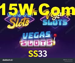 SS33 App Interface