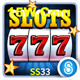 SS33 App Interface